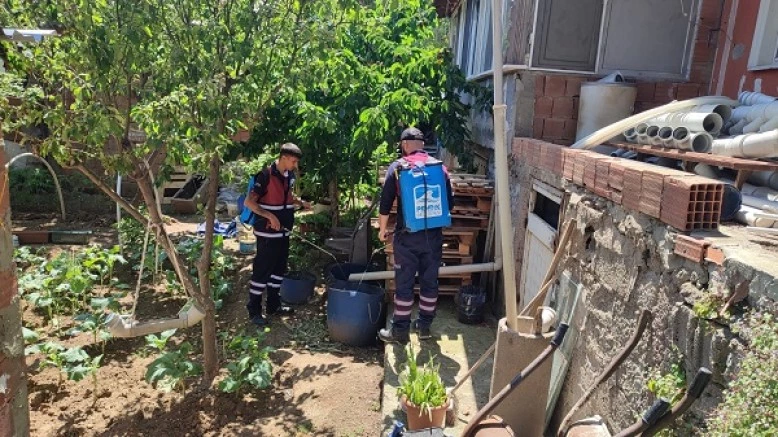 Sokak sokak gezerek ilaçlama yapıyorlar